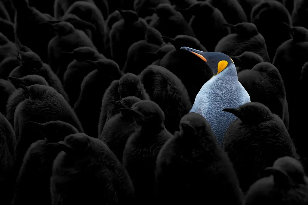 Illustration representing standing out with clarity and purpose